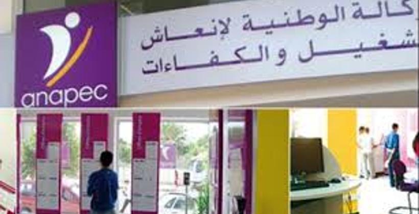 أنابيك...100 ألف عملية إدماج  خلال 2018/2019