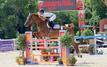 Coup d'envoi à Rabat de la 35è édition de la Semaine du cheval
