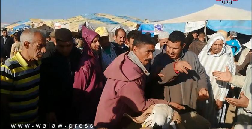 من قلب السوق الأسبوعي للفقيه بن صالح.. استعدادات المغاربة لعيد الأضحى