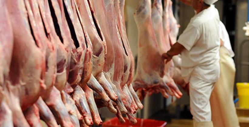 عيد الأضحى...بلاغ وزارة الفلاحة حول عملية ذبح الأضاحي