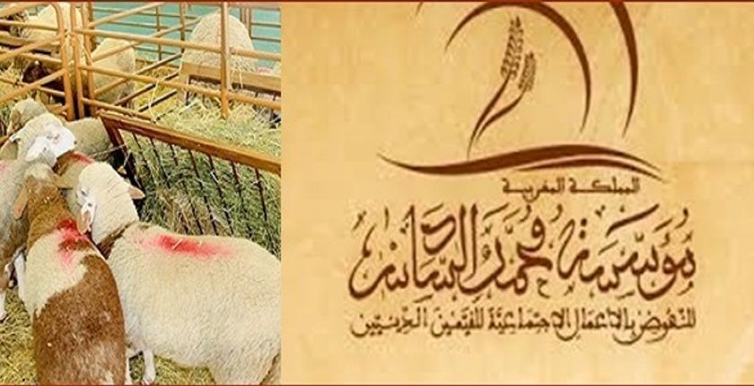 وزارة الأوقاف تمنح 35 مليون درهم للقيمين الدينيين في عيد الأضحى