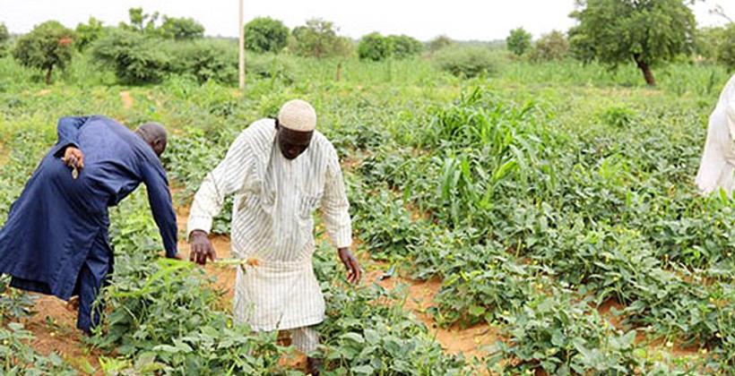 Niger: Fonds de 22 M€ pour la sécurité alimentaire