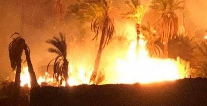 مصرع ستيني في حريق بواحة قرب الرشيدية
