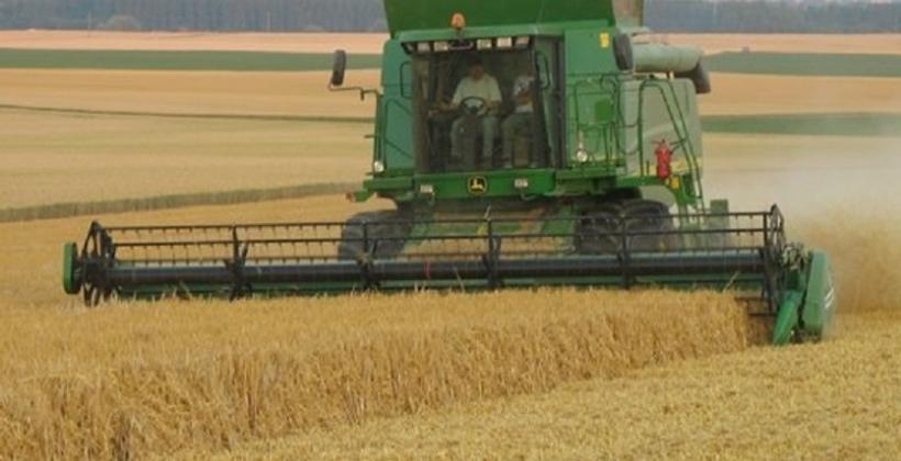 MAROC: PRODUCTION CÉRÉALIÈRE DE 52 MILLIONS QX