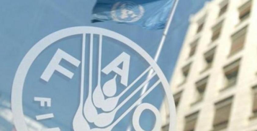 الفاو: " أسعار الغذاء العالمية تنخفض للشهر الثالث في غشت 2019 "