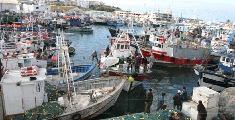 Pêche: Les débarquements augmentent à fin novembre