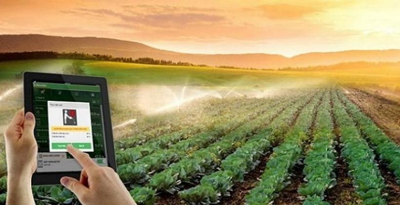 Agriculture: la digitalisation, une opportunité