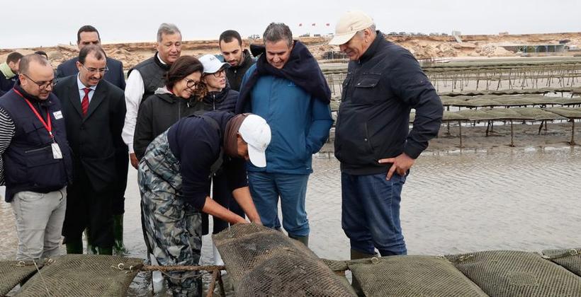Akhannouch s’informe des projets à Dakhla