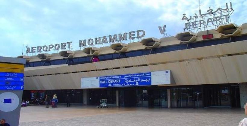 إحباط محاولة تصدير "غير قانونية" لـ 26 صقرا حيا بمطار محمد الخامس