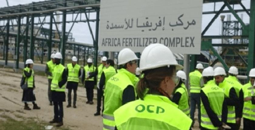 النيابة العامة الكينية تلغي ملاحقتها لمسؤولي الـOCP
