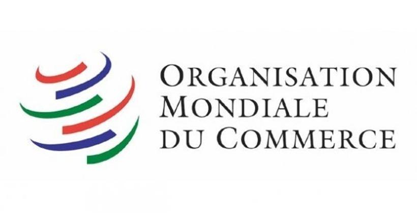 L'Examen global de l’Aide pour le commerce de 2019 axé sur la diversification et l’autonomisation économiques (OMC)
