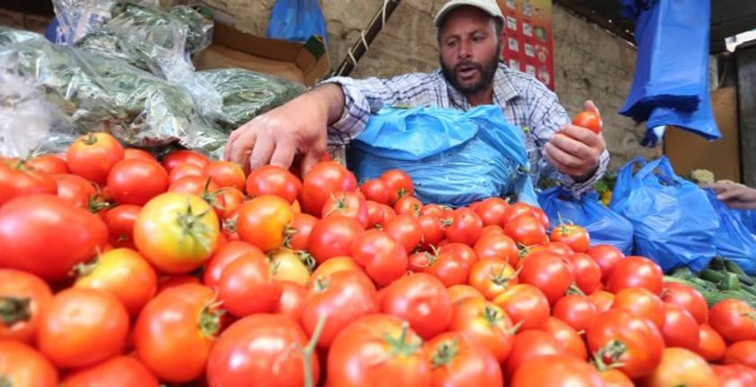 قبيل ساعات من دخول رمضان.. أسعار الطماطم تلهب جيوب البيضاويين