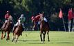 Trophée international Mohammed VI de Polo: le Maroc domine l’Egypte 4-1