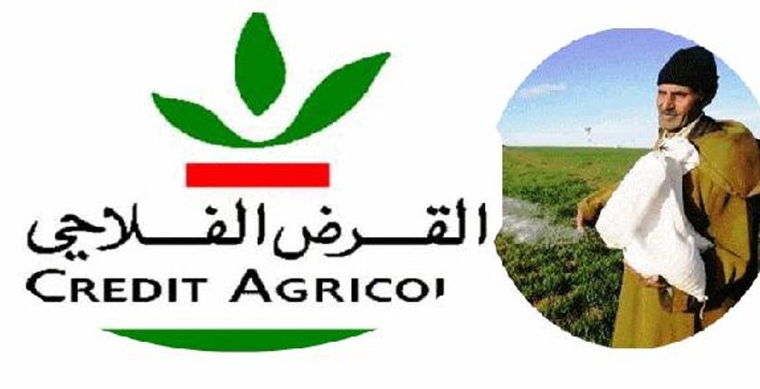 بشراكة دولية.. القرض الفلاحي يطلق خدمة "التأجير" 
