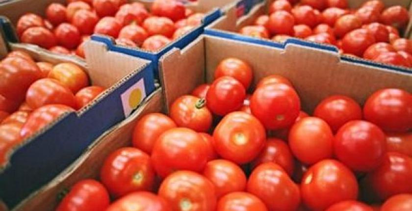من جديد..روسيا تكشف سبب توقيف شحنة من الطماطم المغربية 