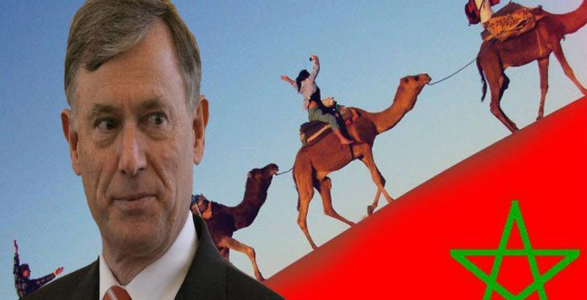 مسؤول رفيع: "المغرب لا علم له بأمر المفاوضات مع "البوليساريو" ببرلين"