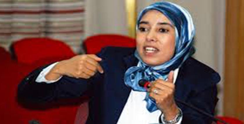 ماء العينين: العثماني يتعرض لضغوطات من بعض الجهات التي تريد إسكات بنكيران 