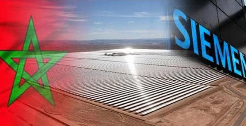 شركة ألمانية كبرى توجه ضربة موجعة للبوليساريو وتنتصر للمغرب 