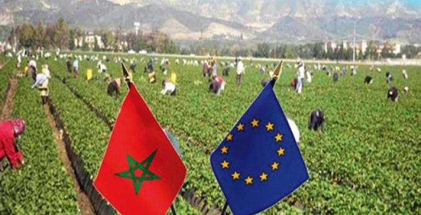 ارتفاع صادرات المنتجات الفلاحية المغربية تجاه أوروبا