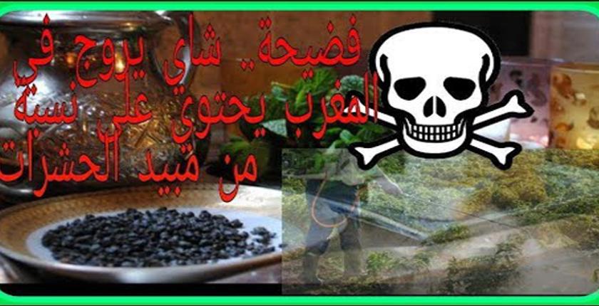 بعد فضيحة المبيدات السامة..الاتحاد الأوروبي يرفض شحنات كبيرة من الشاي المغربي