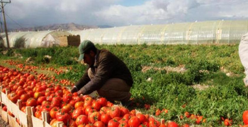 لأول مرة.. مصر تفتح أسواقا جديدة لصادراتها بالمغرب وكندا 
