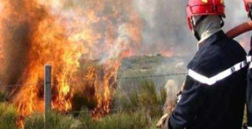 حالة استنفار قصوى بإقليم شفشاون بعد اندلاع النيران بغابة جبل "ايركلان"