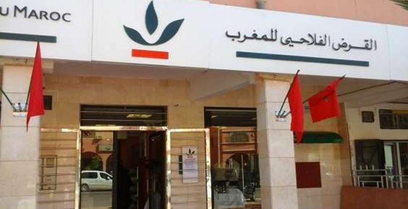 مجلس جطو يفضح تلاعبات مسؤولي القرض الفلاحي