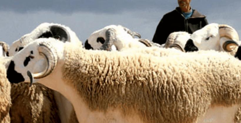 Aid Al Adha et vacances: Des contraintes et des opportunités