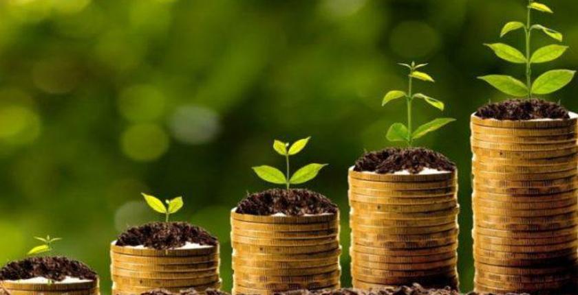 البيضاء.. إصدار سندات "خضراء" بقيمة 355 مليون درهم