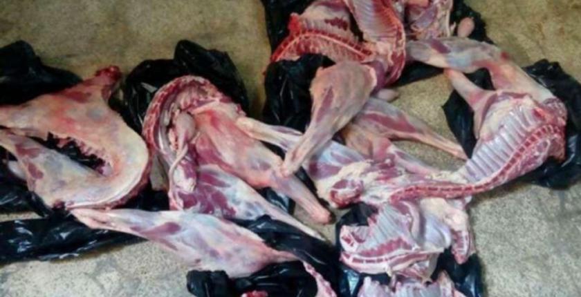 ابتدائية المحمدية تقضي بالسجن النافذ لعصابة الذبيحة السرية ولحوم الكلاب