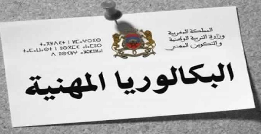 وزارة التربية الوطنية تصدر أطرا مرجعية للباكالوريا المهنية