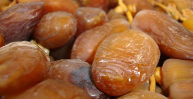 Le Maroc, premier importateur des dattes tunisiennes avec 8,2 mille tonnes