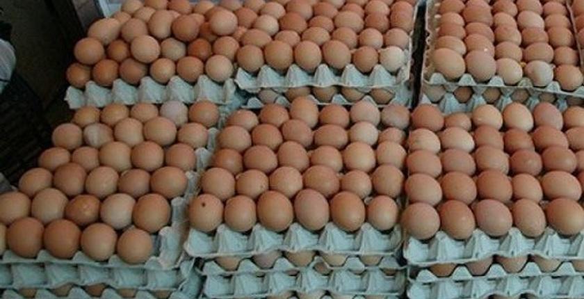 المغربي يستهلك 180 بيضة في السنة فقط رغم تحسن الإنتاج !