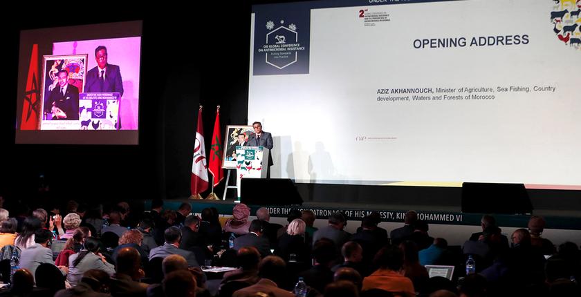 أخنوش: "المغرب ملتزم بتكثيف الاجراءات لمراقبة مقاومة مضادات الميكروبات"