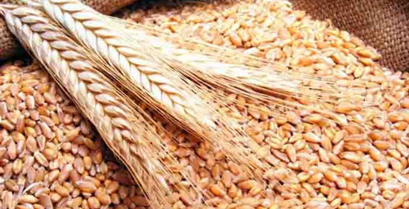 الدار البيضاء.. توقيع اتفاقية للتعاون التقني في مجال الحبوب بين المغرب وفرنسا 