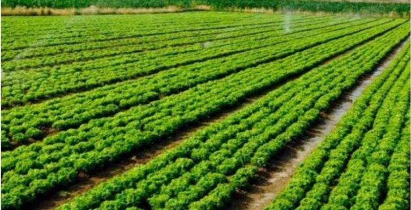 مكناس على موعد مع مؤتمر عالمي حول "الزراعة والبيطرة"