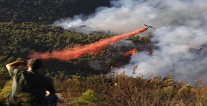 طنجة..تخصيص 9.6 مليون درهم لإعادة تشجير الغابات المحروقة بـ "كاب سبارتيل"