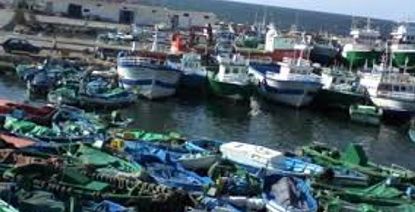 جمعية تطالب  بفتح تحقيق في اختلالات سوق  الجملة للسمك بميناء المهدية 