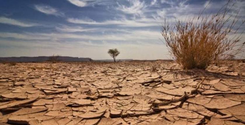 "الفاو" تحذر المغرب من الجفاف وتدعوه لإعتماد مقاربة استباقية