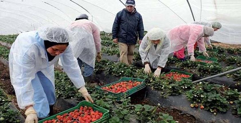 حركة  تطالب بزيارة عاجلة إلى الأندلس‎ لحماية العاملات المغربيات