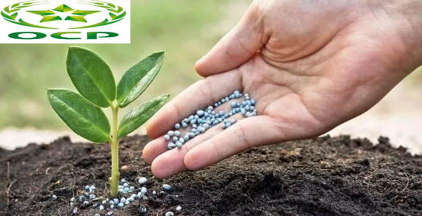 قافلة الـOCP الفلاحية تحط الرحال بإيثيوبيا